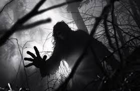 Desa Misterius di Jawa Tengah Kampung Bayangan yang Hanya Muncul di Cermin Sungai Saat Senja